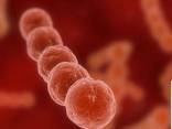 Faringoamigdalitis víricas y bacterianas