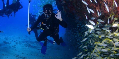 Certificado medico para submarinismo y pesca submarina